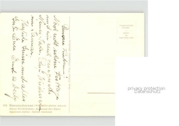 Zeltner C. Nr. 104 Blumen – Bild 2