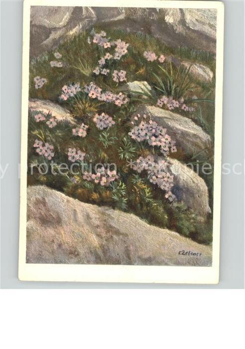 Zeltner C. Nr. 226 Blumen