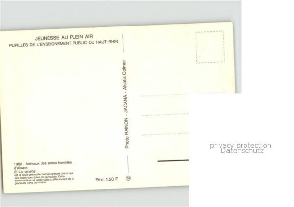 Froesche – Bild 2