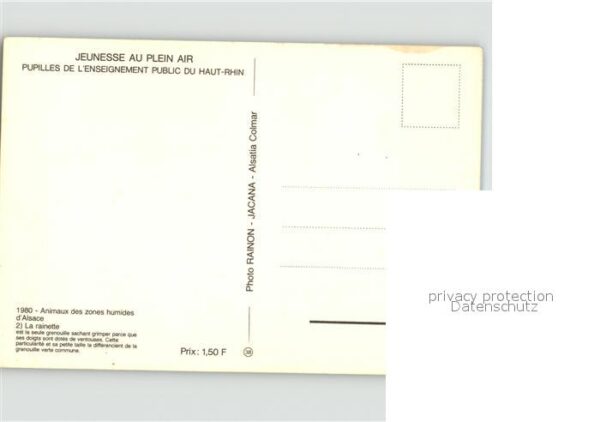 Froesche – Bild 2