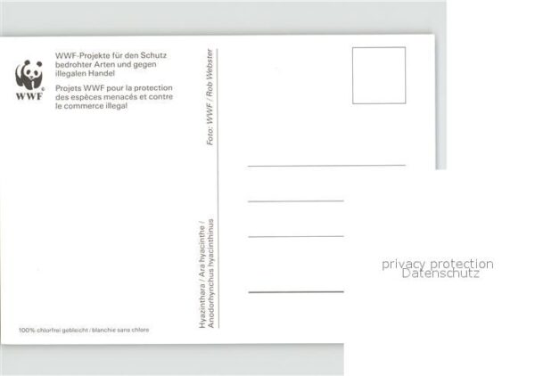 Tiere Papagei World Wide Fund For Nature – Bild 2