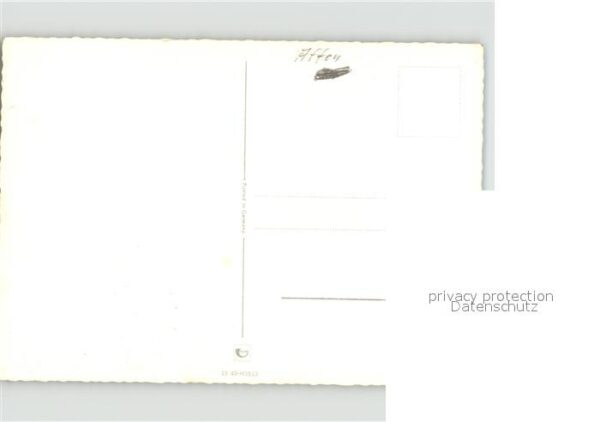 Affen – Bild 2