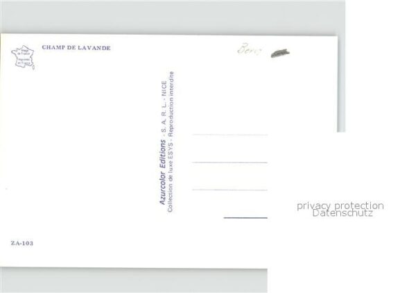 Blumen Lavendelfeld – Bild 2