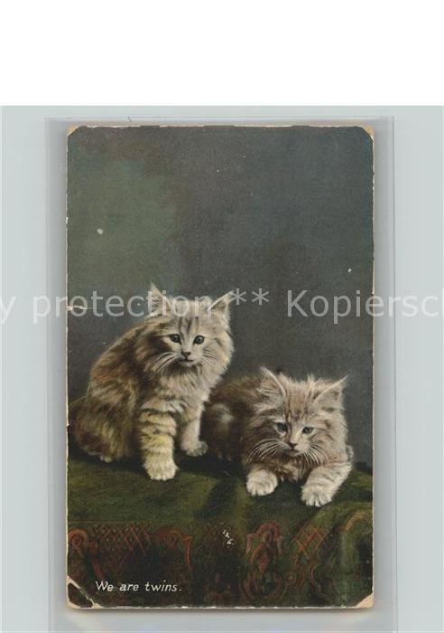 Katzen