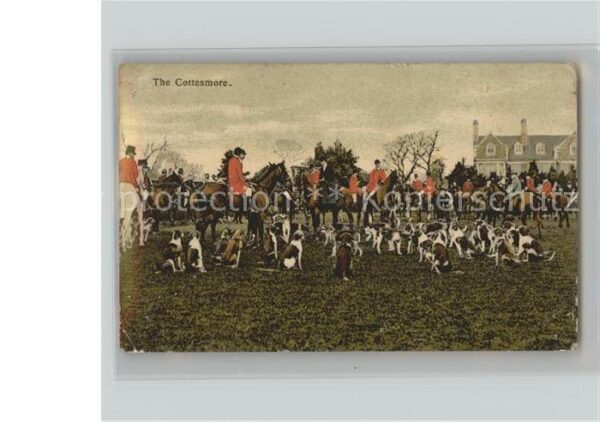 Jagd TOakham Sommerry The Cottesmore Hunde P