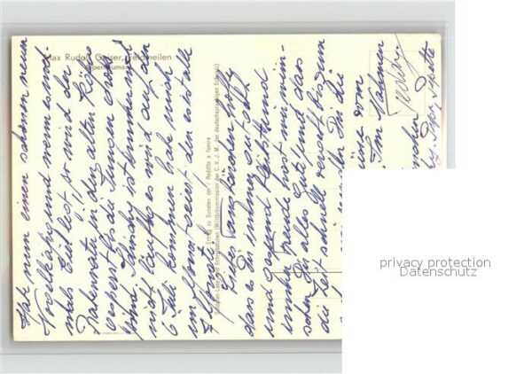 Kuenstlerkarte Max Rudolf Geiser Alpenblumen – Bild 2