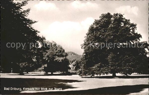 Bad Driburg Partie im Kurpark mit Blick zur Jburg