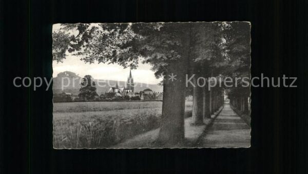 Bad Driburg Grosse Allee mit Jburg