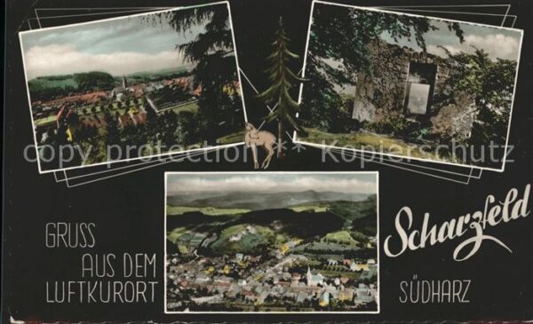 Scharzfeld