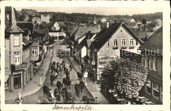 Braunlage Elbingeroder-Strasse mit Kuhherde