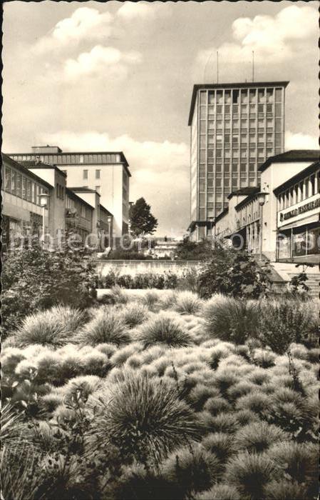 Kassel Treppenstrasse mit Gewächsen