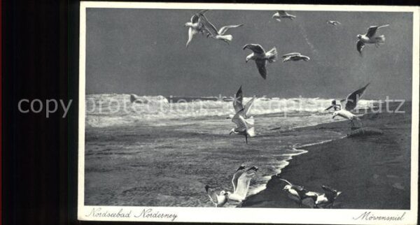 Norderney Nordseebad Möwenspiel