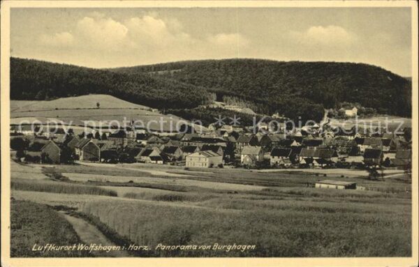 Wolfshagen Harz Panorama von Burghagen Luftkurort