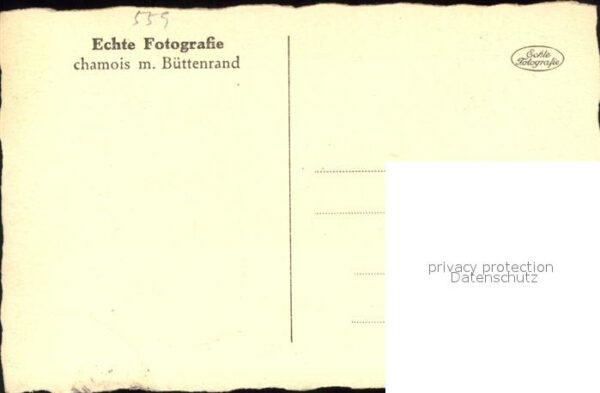 Kochem Cochem – Bild 2