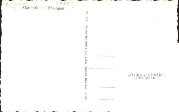 Marienthal Rheingau Schwalbe – Bild 2