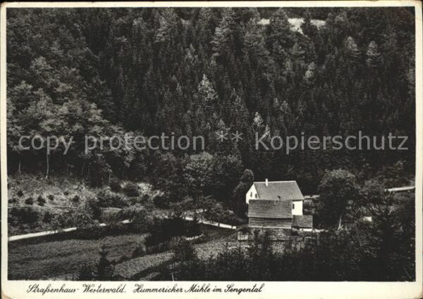 Westerwald Region Strafsenhaus Hummericher Mühle Sengenta