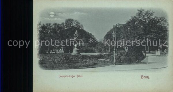 Bonn Rhein Poppelsdorfer Allee