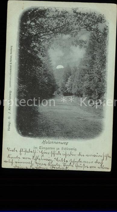 Schleswig Holstein Kolonnenweg im Tiergarten