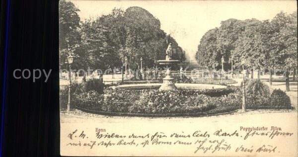 Bonn Rhein Poppelsdorfer Allee