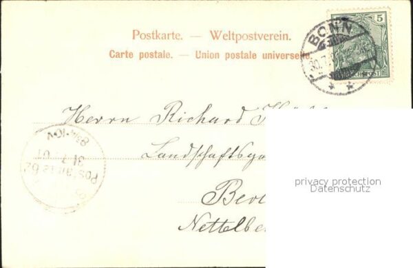 Bonn Rhein Partie auf dem alten Zoll – Bild 2