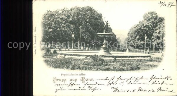 Bonn Rhein Poppelsdorfer Allee