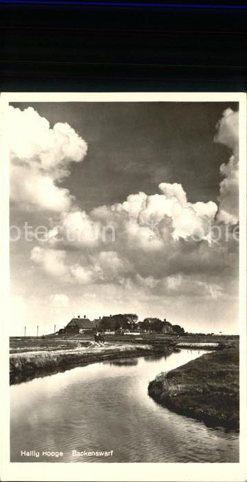 Hallig Hooge Backenswarf