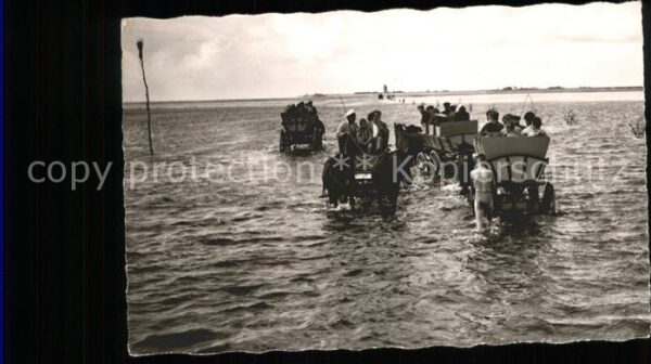 Duhnen Nordsee Wattwagen mit Pferden