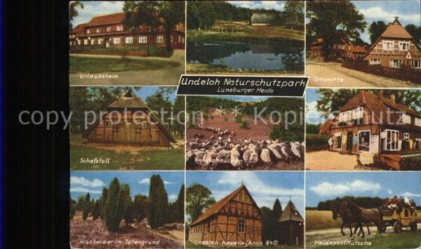 Undeloh Urlausbheim u.Heidepostkutsche
