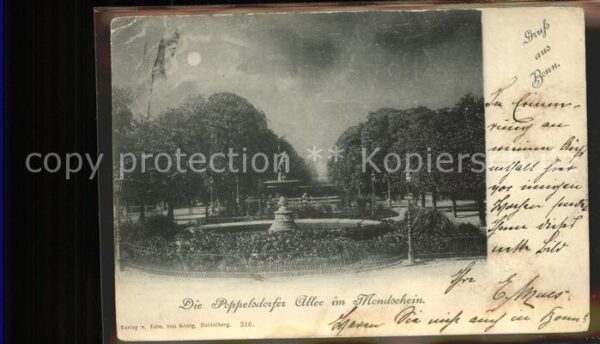 Bonn Rhein Poppelsdorfer Allee mim Mondschein