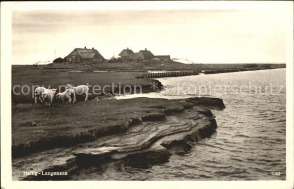 Hallig Langeness
