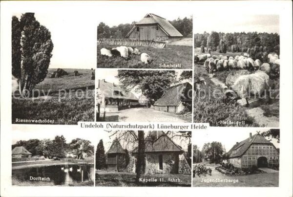 Undeloh Jugendherberge u.Dorfteich