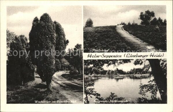 Holm-Seppensen Pferdekopf u.Seppenser Mühlenteich