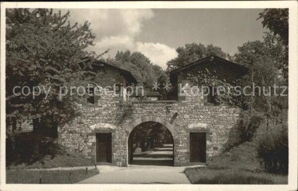 Koenigstein Taunus Römerkastell Saalburg