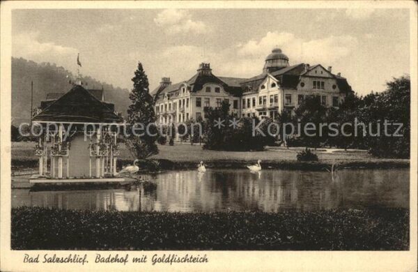 Bad Salzschlirf Badehof u.Goldfischteich (Feldpost)