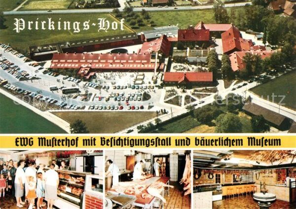 Sythen Prickings Hof Fliegeraufnahme EWG Muste