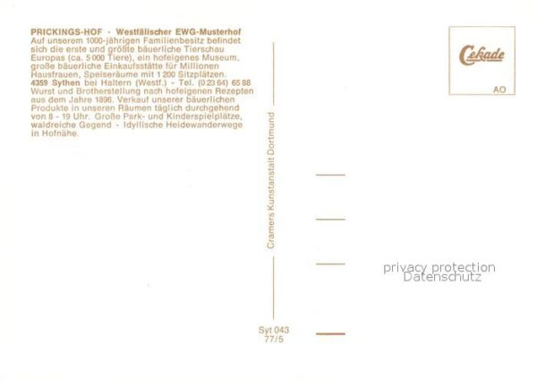 Sythen Prickings Hof Fliegeraufnahme EWG Muste – Bild 2