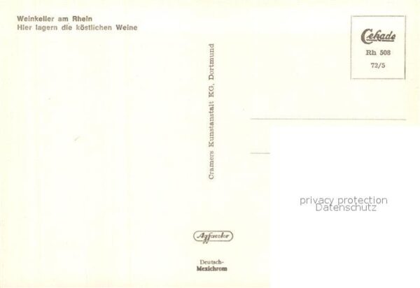 Eltville Rhein Weingut am Rhein Weinkeller – Bild 2