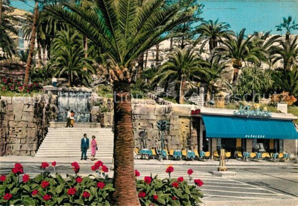 San Remo Riviera del Fiori Vegetazione