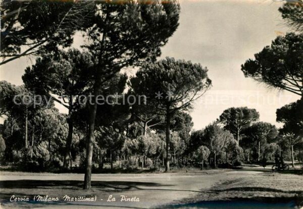 Cervia La Pineta