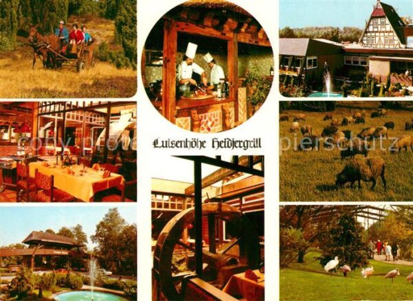 Walsrode Lueneburger Heide Luisenhöhe Heidiergrill am Vogelpark Fo