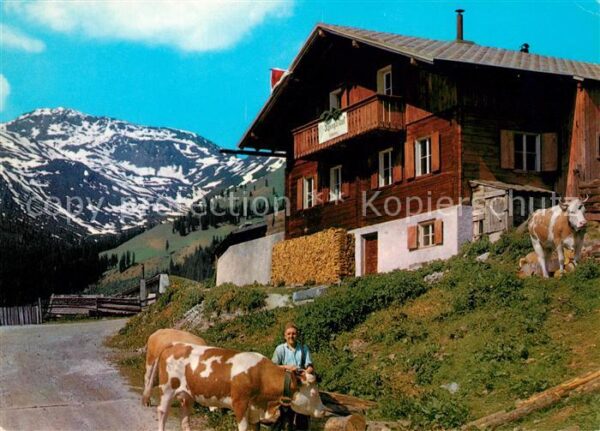 Fuegen Alpengasthaus Schellenberg Kühe