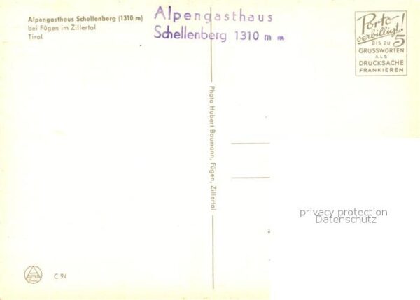 Fuegen Alpengasthaus Schellenberg Kühe – Bild 2