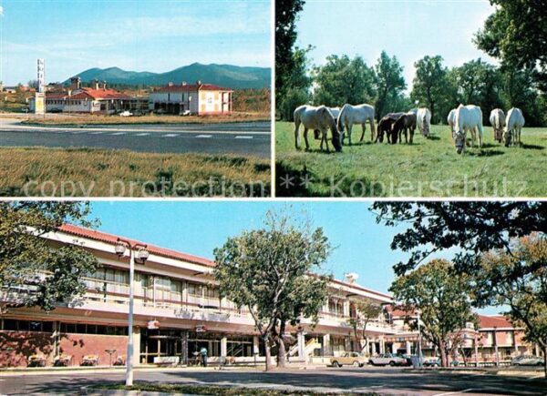 Lipica Hotel Maestoso