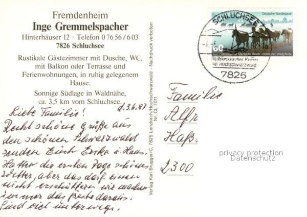 Schluchsee Fremdenheim Gremmelspacher – Bild 2