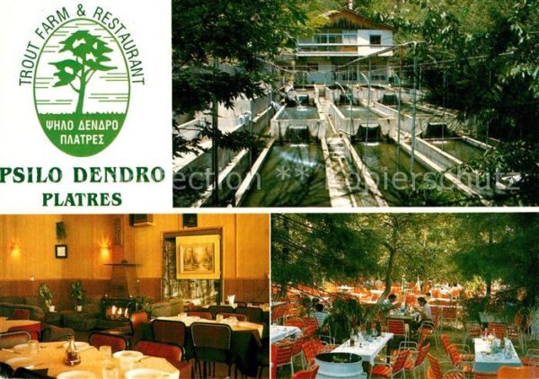 Platres Cyprus Zypern Trout Farm und Restaurant Psilo Dendro
