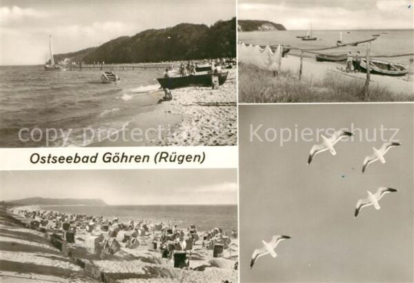 Goehren Ruegen Strandpromenade Möwe