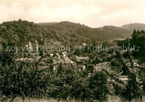 Bad Gottleuba-Berggiesshuebel Panorama