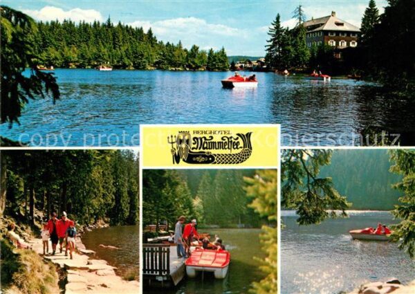 Mummelsee Berghotel Mummelsee