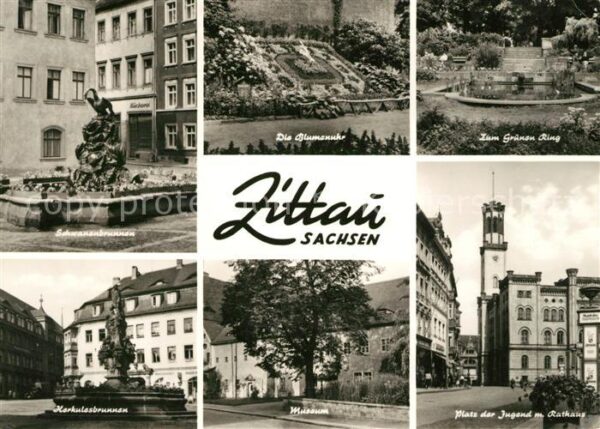 Zittau Schwanenbrunnen Herkulesbrunnen Grüner