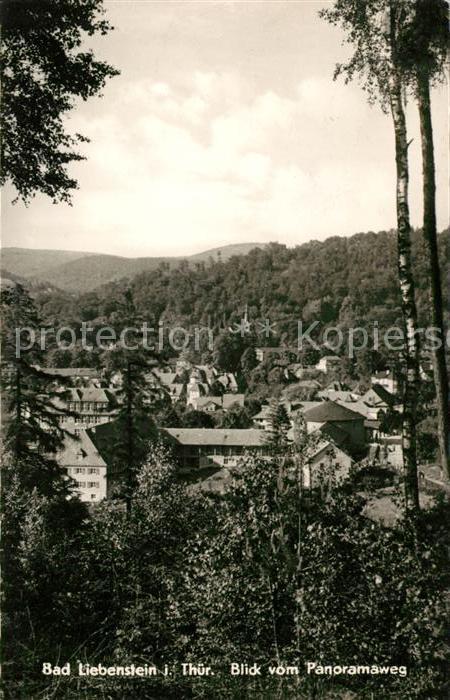 Liebenstein Arnstadt Panorama